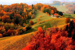 autumn-armenia-cover-150